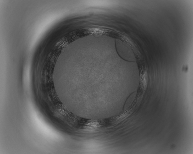 X0000115650381200911101545