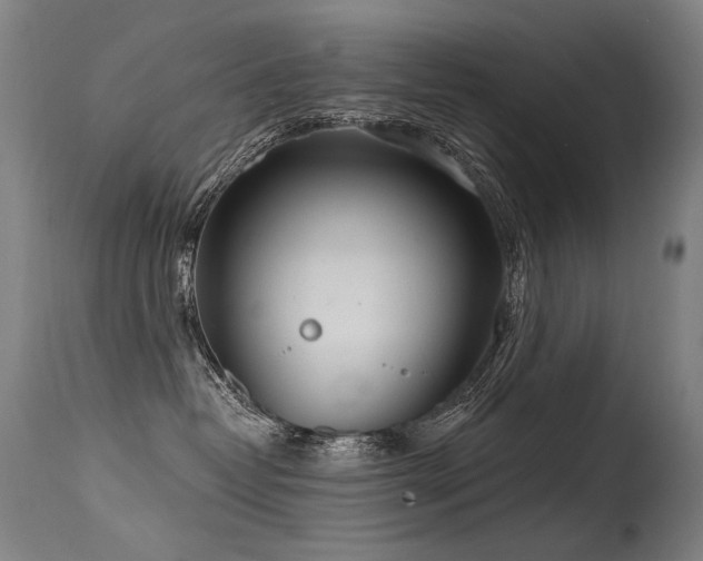 X0000115650382200911101545