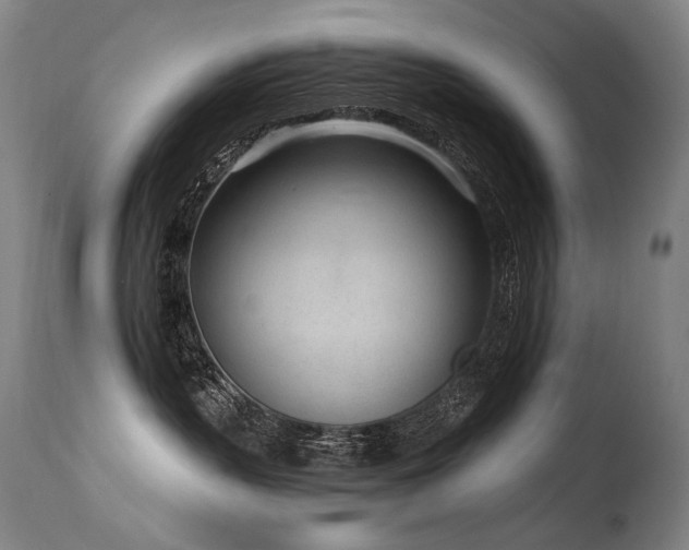 X0000115650383200911101545