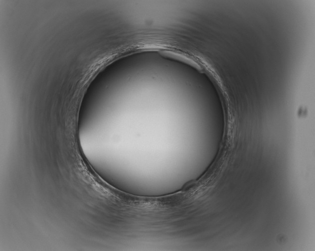 X0000115650385200911101545