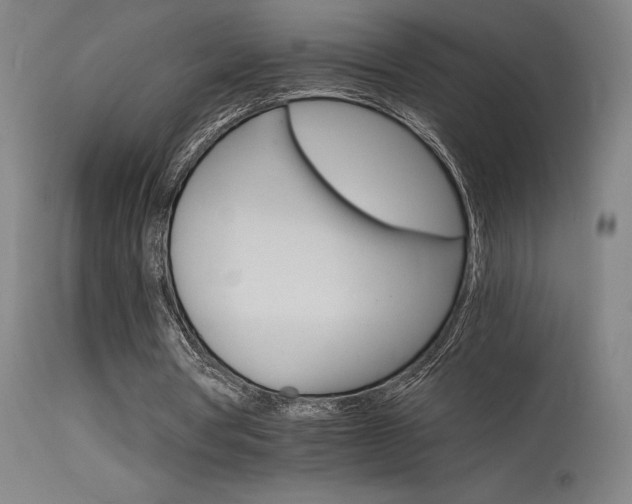 X0000115650386200911101545