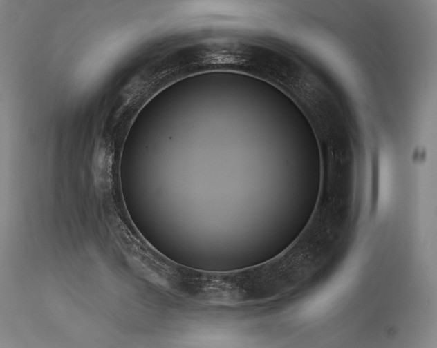 X0000115650387200911101544