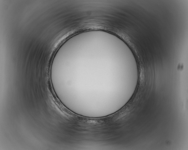 X0000115650390200911101544