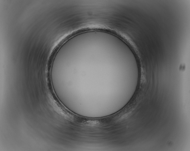 X0000115650391200911101544