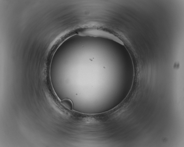 X0000115650392200911101544