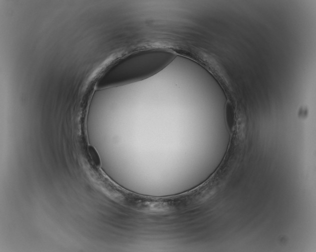 X0000115650395200911101544