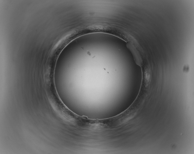 X0000115650396200911101544
