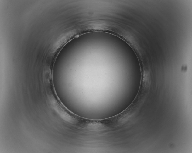 X0000115650397200911101544