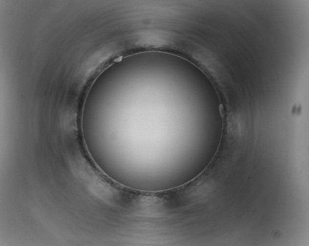 X0000115650399200911101544