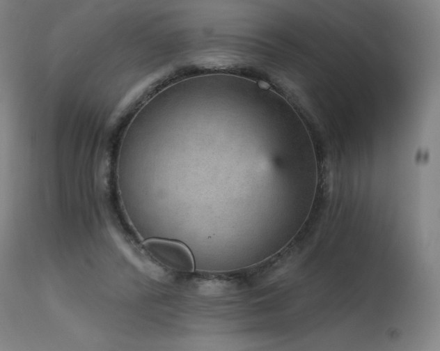 X0000115650400200911101544