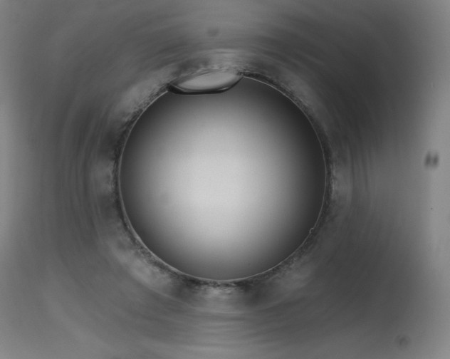 X0000115650401200911101544