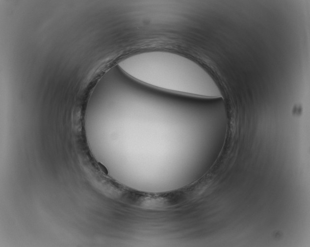X0000115650403200911101544