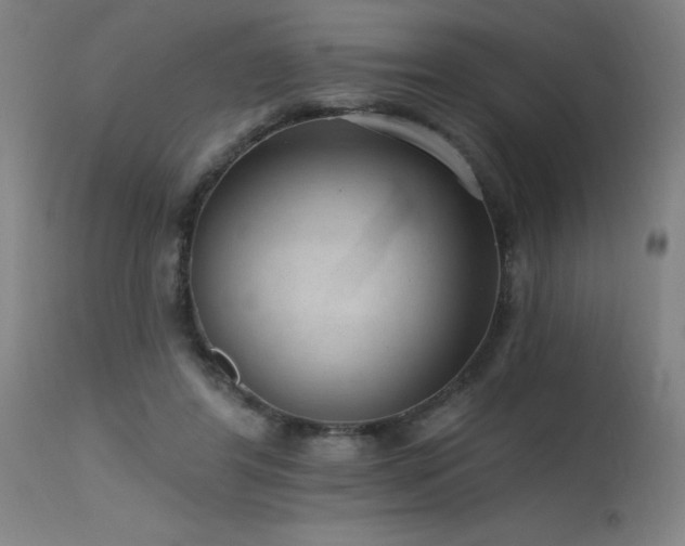 X0000115650404200911101544