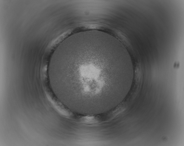 X0000115650406200911101544