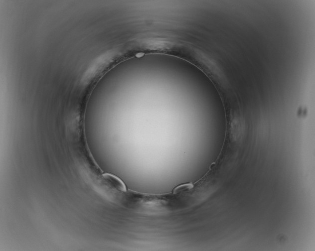 X0000115650407200911101544
