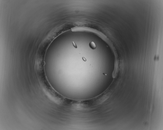 X0000115650408200911101544