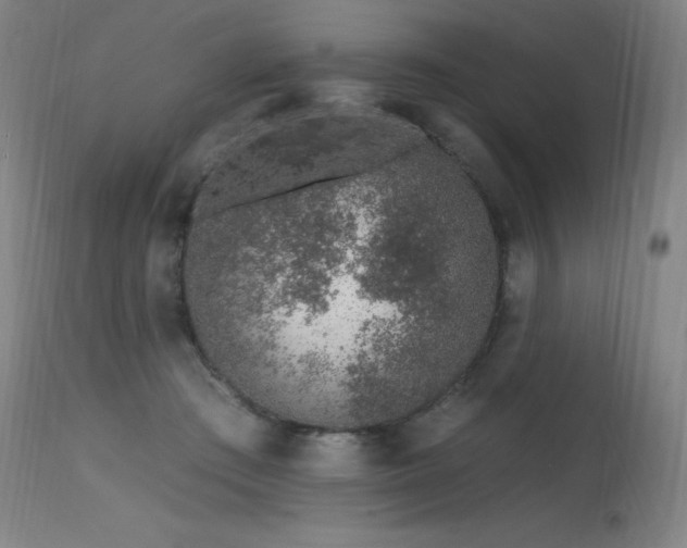 X0000115650409200911101544