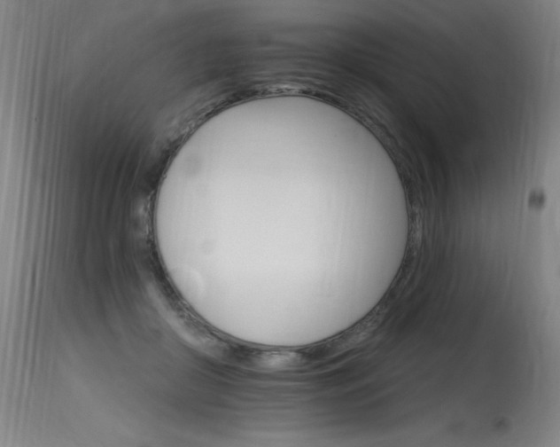 X0000115650410200911101544