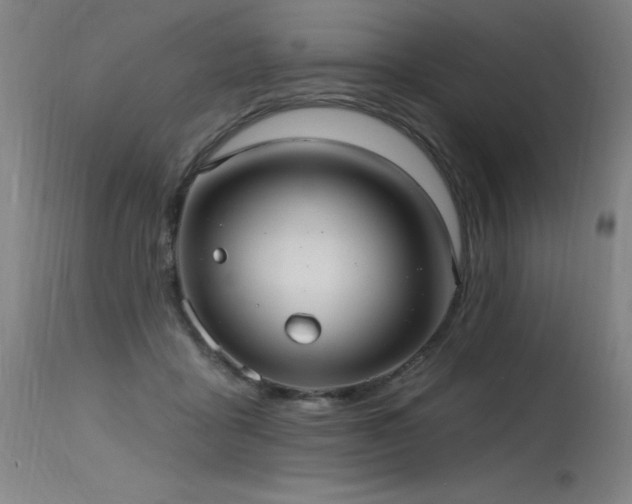 X0000115650411200911101544