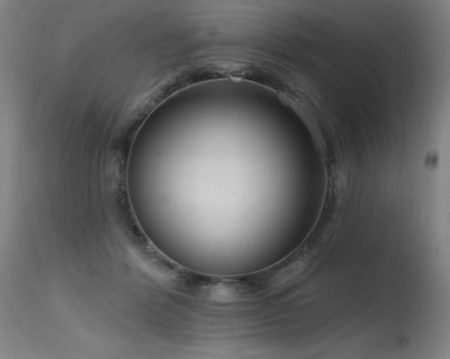X0000115650412200911101544