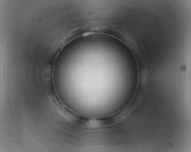 X0000115650413200911101544