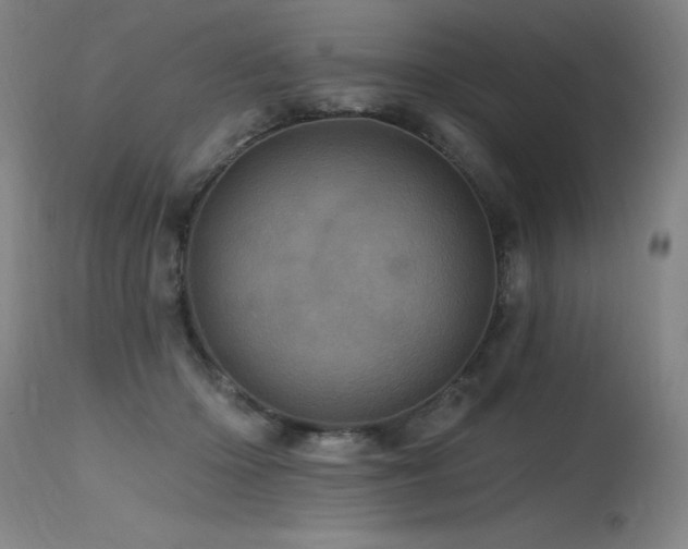 X0000115650414200911101544