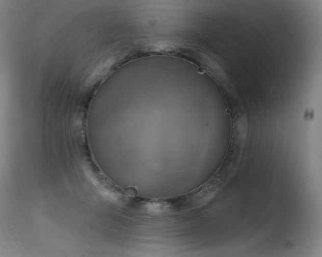 X0000115650415200911101544