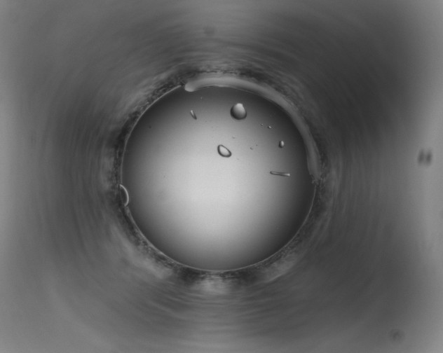X0000115650416200911101544