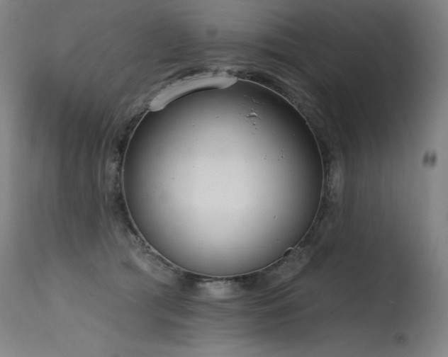X0000115650417200911101544