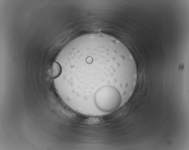 X0000115650418200911101544