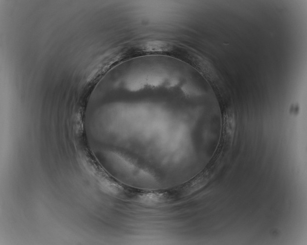 X0000115650422200911101544