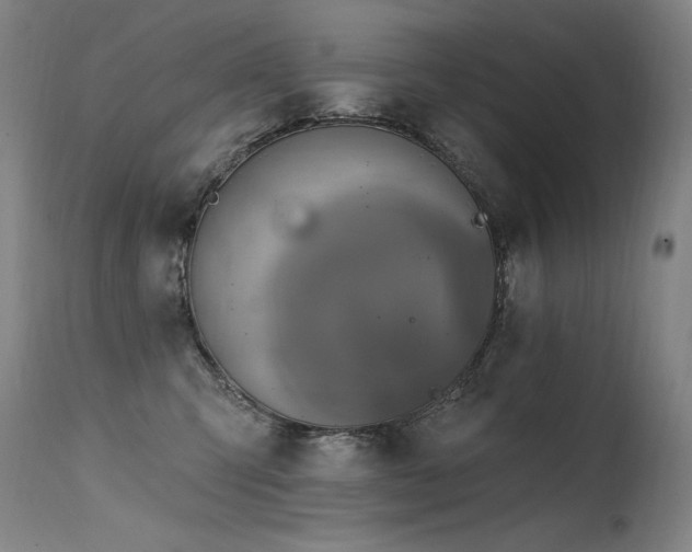 X0000115650423200911101544
