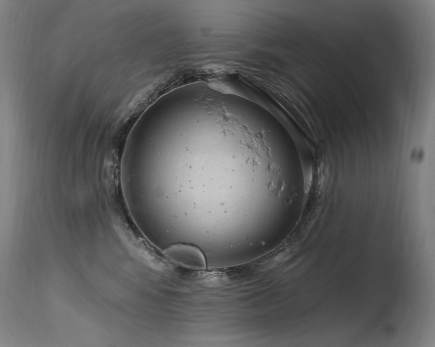 X0000115650424200911101544