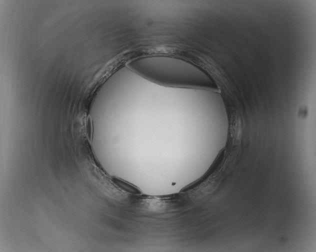 X0000115650425200911101544