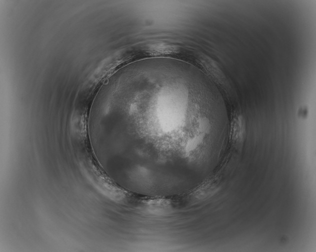 X0000115650426200911101544