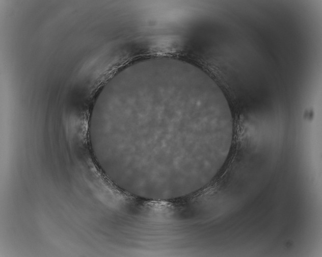 X0000115650427200911101544