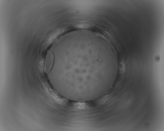 X0000115650428200911101544