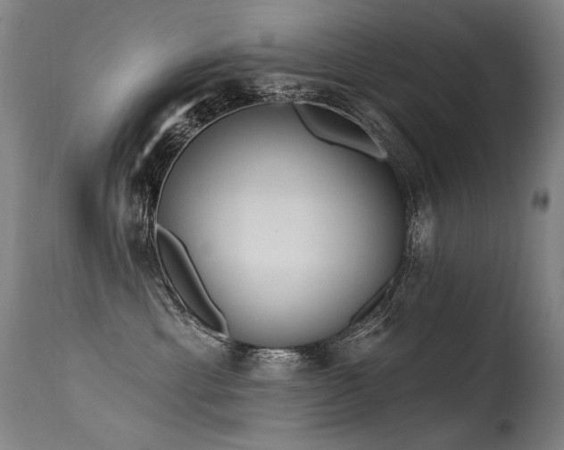 X0000115650429200911101544