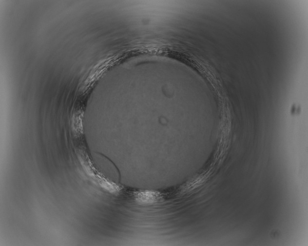 X0000115650432200911101544