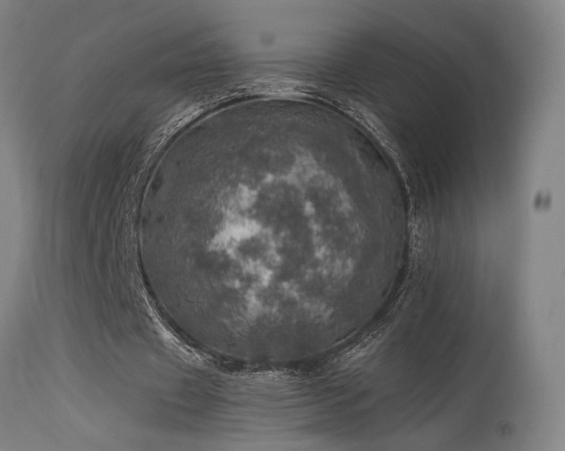 X0000115650433200911101543