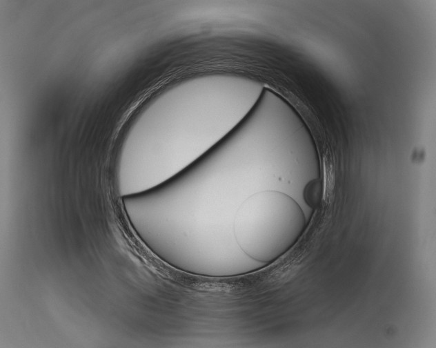 X0000115650435200911101543