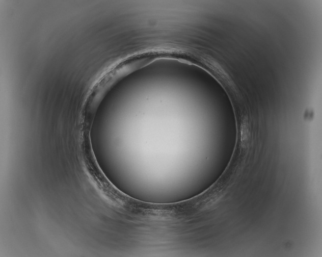 X0000115650436200911101543