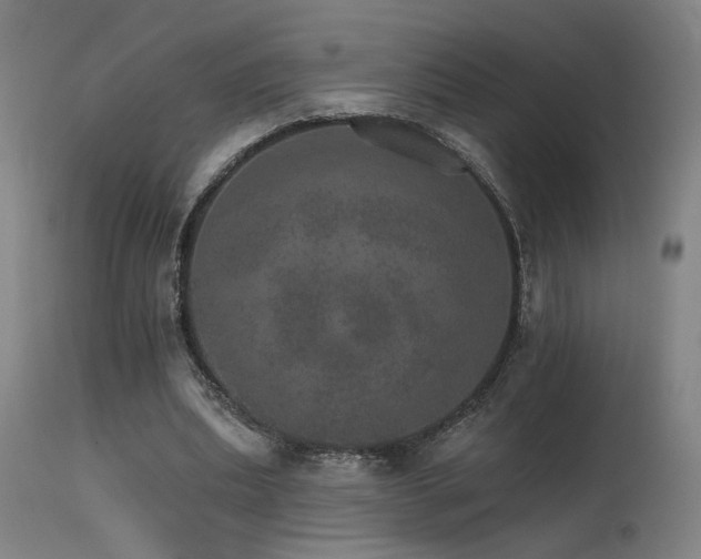 X0000115650439200911101543