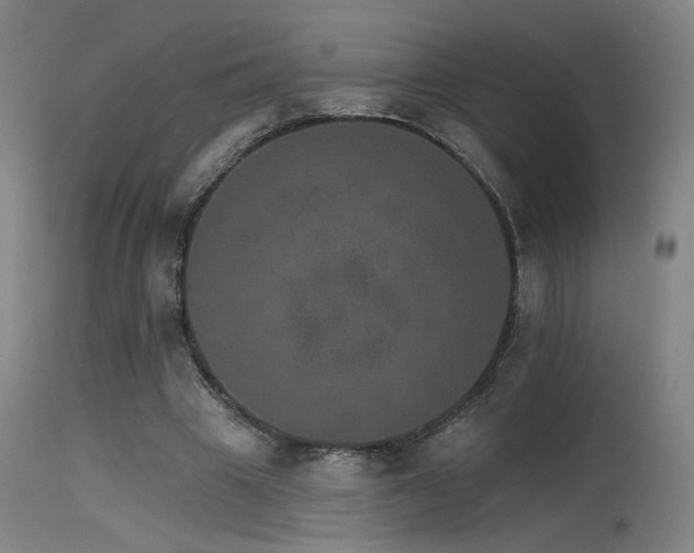 X0000115650441200911101543