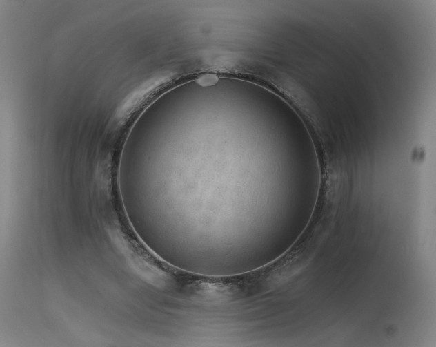 X0000115650442200911101543