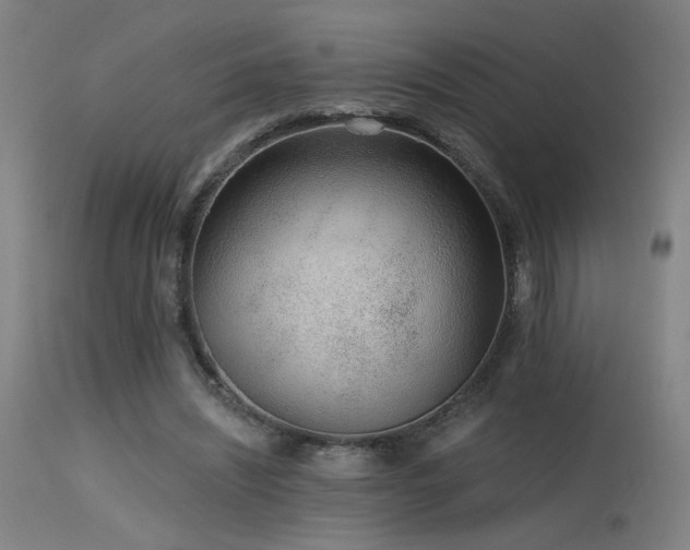 X0000115650444200911101543