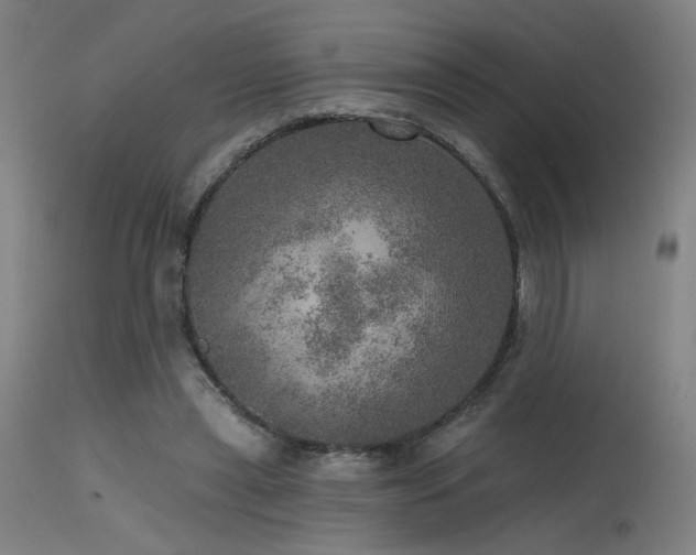 X0000115650445200911101543