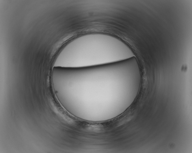X0000115650446200911101543