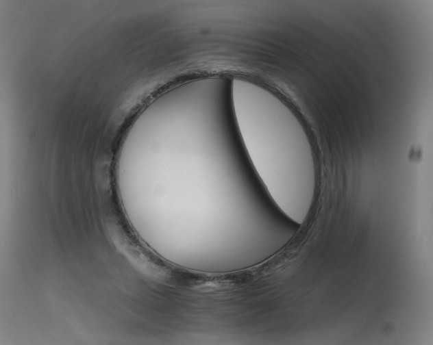 X0000115650447200911101543