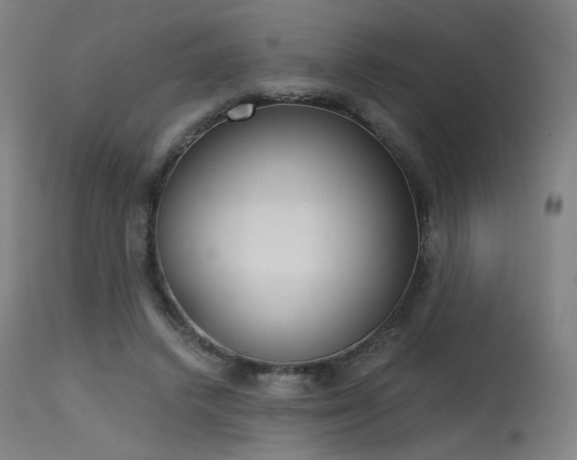 X0000115650448200911101543